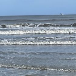 Corolla Wild Horse Tours - Drive along NC beach