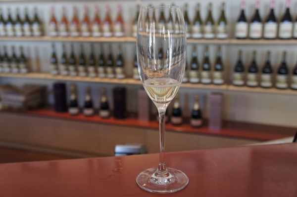 Pipers Brook Vineyard by null