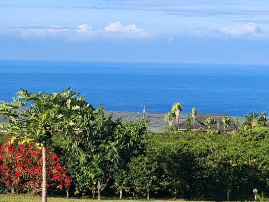 Kona Coffee Living History Farm by null