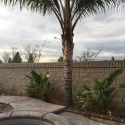 Chris' Quality Pool Repair & Service - Before. Crack on ledge. Tan cracked tile. And queen Palm doing the damage.