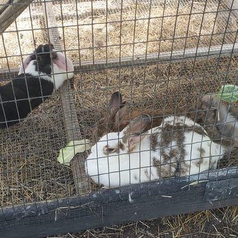 Beasley Farm - undefined - Farms Near Me - Brooksville, Florida