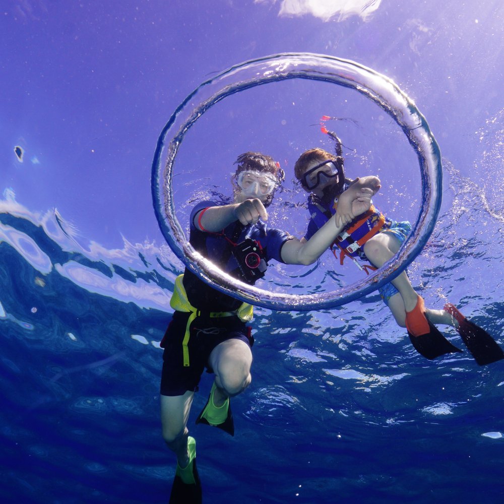 Four Winds Molokini Maui Snorkel Tour - Awesome shots from the photographer onboard (add-on cost) - Snorkeling Near Me - Maalaea, Hawaii