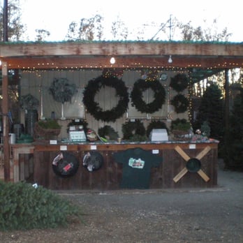 Nyberg's Christmas Trees - The Stand - Christmas Trees Near Me - Sonoma, California Nyberg's Christmas Trees - The Stand - Christmas Trees Near Me - Sonoma, California