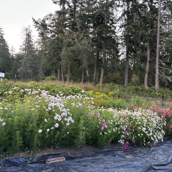 Saturn's Return - Bed & Breakfast Near Me - Friday Harbor, Washington