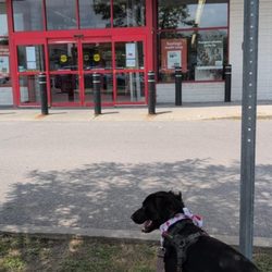 Staples - In and out, super quick for damn printer ink. Thx for being pup friendly!