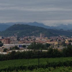 Le Pignole