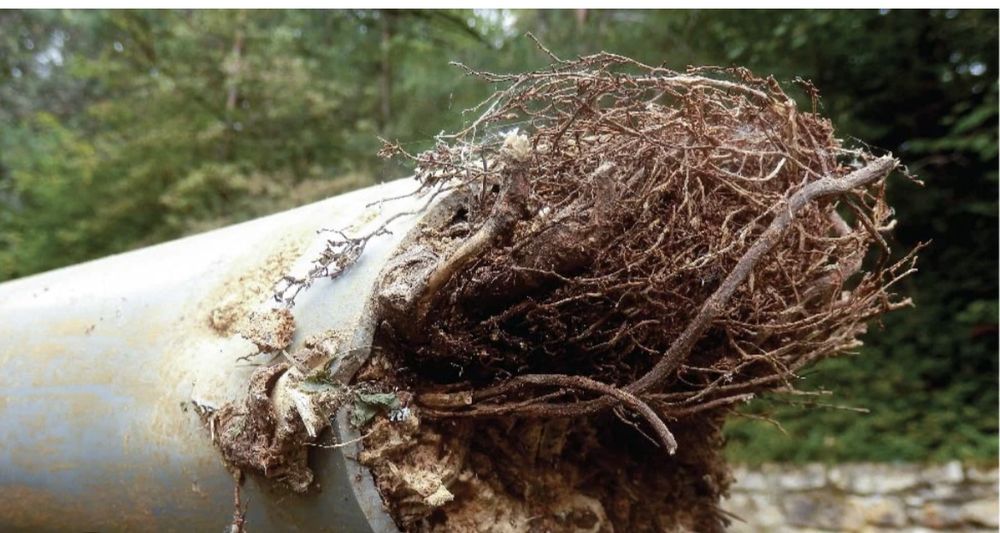 Slide of D&K Plumbing Services