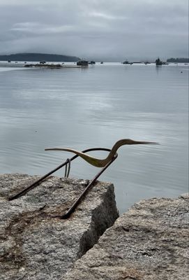 Fin and Fern by null