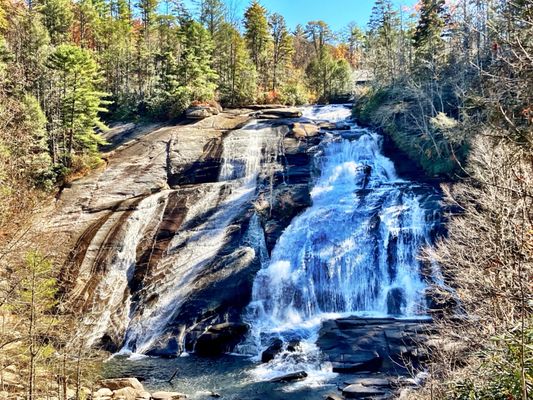 DuPont State Recreational Forest by null