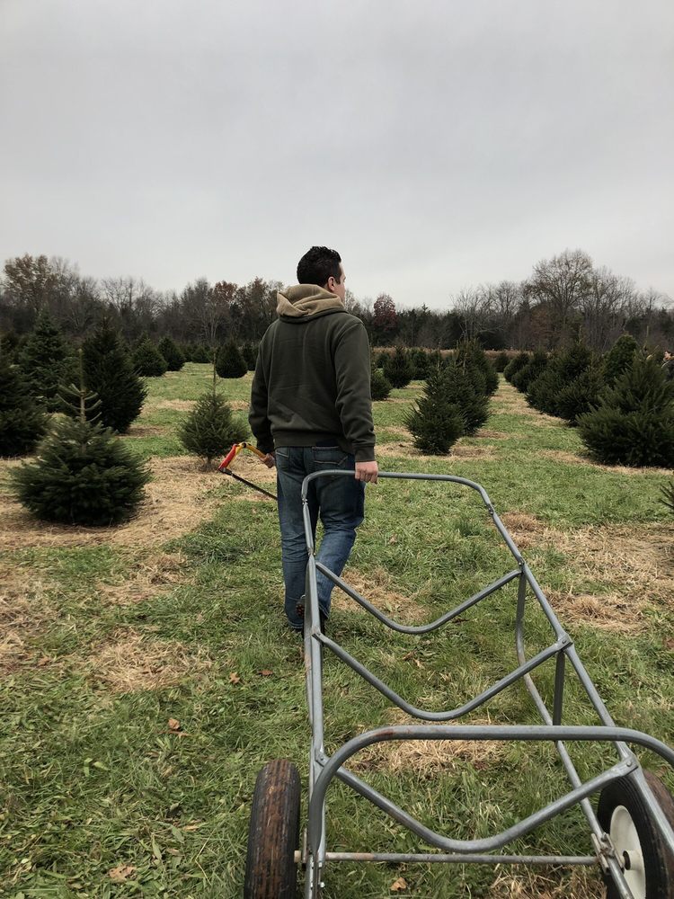 WOLGAST CHRISTMAS TREE FARM Updated July 2024 176 Ln