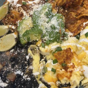First Watch - Barbacoa Chilaquiles Breakfast Bowl - Breakfast & Brunch Near Me - Glendale, Arizona