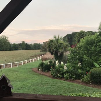 Southern Cross Ranch - View of the back pasture - Horseback Riding Near Me - Madison, Georgia