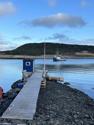 Daily Catch Restaurant by null