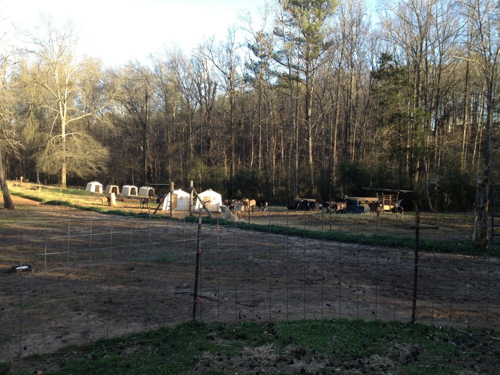 Split Creek Farm Cheese Shops 3806 Centerville Rd, Anderson, SC