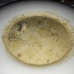 Cream of Mushroom