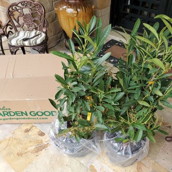 Garden Goods Direct - Nurseries & Gardening Near Me - BOWIE, Maryland Garden Goods Direct - Nurseries & Gardening Near Me - BOWIE, Maryland