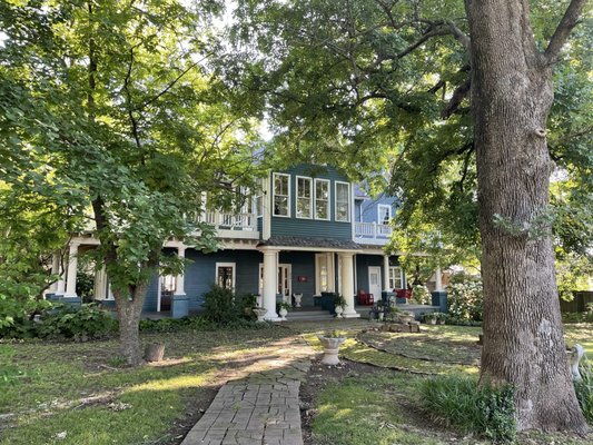 Blue Fern Bed and Breakfast by null