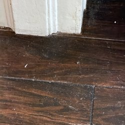 Dust Bunny General Cleaning