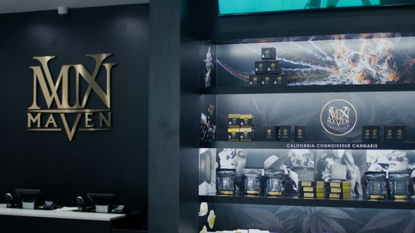 The Maven Store by null