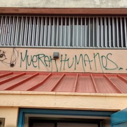 Ciudad Universitaria - Odio los graffitis, pero este llamó poderosamente mi atención.