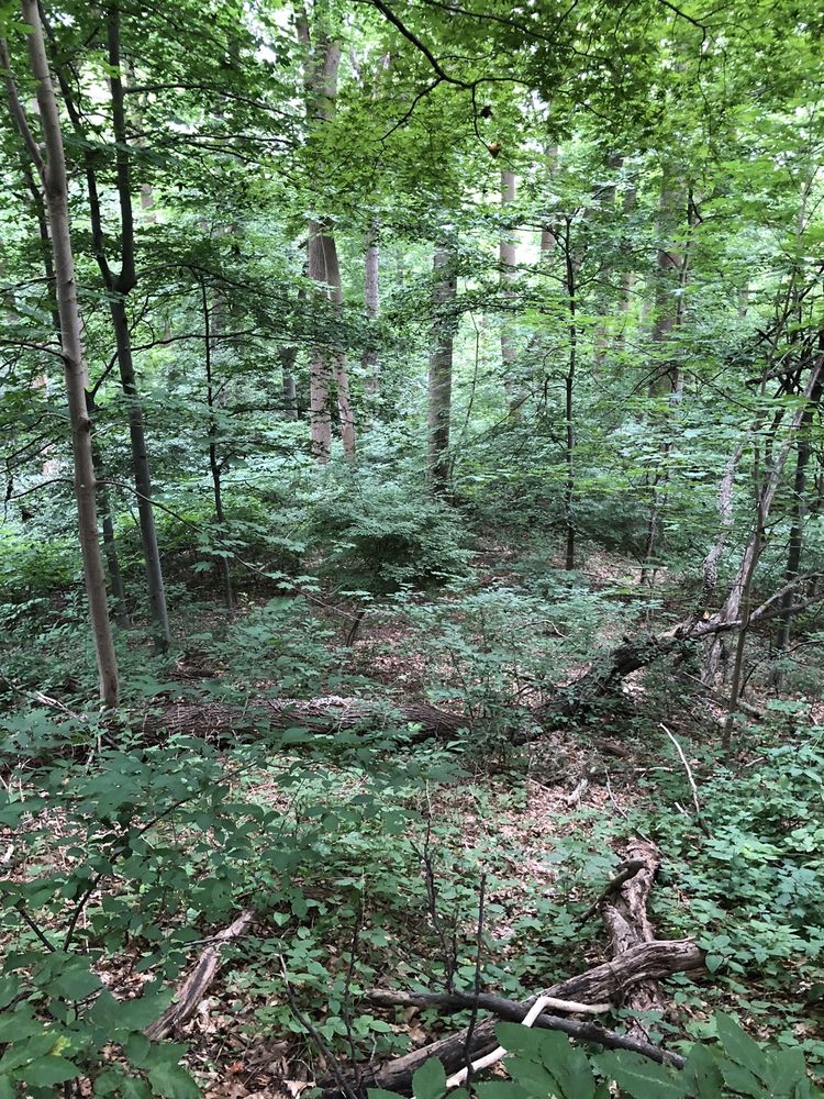 TATUM PARK 19 Photos 140 Holland Rd, Middletown, New Jersey Parks