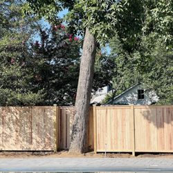 Fence Posts & Landscaping