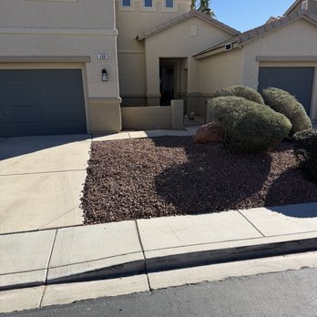 Royal Tree Service - Tree removed and stump grind complete - Tree Services Near Me Royal Tree Service - Tree removed and stump grind complete - Tree Services Near Me