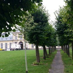 Poppelsdorfer Schloss - Parkanlage