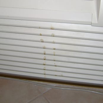 Palm Beach Ocean Front Inn - This was on the air conditioner unit? Fecal matter anyone? Your guess is good as mine? - Hotels Near Me - Palm Beach, Florida Palm Beach Ocean Front Inn - This was on the air conditioner unit? Fecal matter anyone? Your guess is good as mine? - Hotels Near Me - Palm Beach, Florida