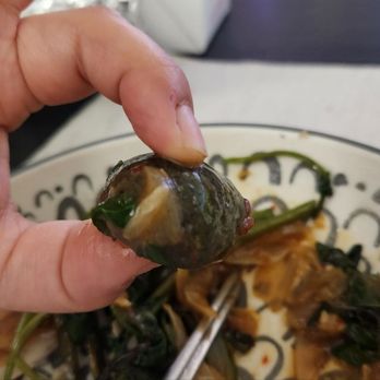 Seafood Cove 2 - Dim Sum Near Me - Westminster, California Seafood Cove 2 - Dim Sum Near Me - Westminster, California
