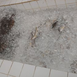 Fresh Water Fish Company