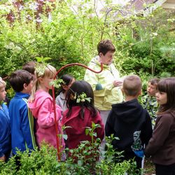 Tilden School