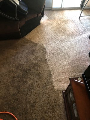 Carpet Cleaning - When your carpets start to look dingy and dirty, we can bring them back to life again.  We use powerful, truck-mounted carpet cleaning equipment and the very best solutions.  Our cleaning agents are as safe, green and effective as possible.


We pre-treat all the areas we clean and we rinse them with a specially formulated, pH balanced fiber rinse that removes carpet cleaning solution residue right along with deep-down dirt.

This leaves your carpets in a neutral state, residue free, so they stay cleaner longer.  We also use specialized products to help tackle tough odors and stains. Your carpets will take hours, not days, to dry leaving behind cleaner, softer, more beautiful carpets.  We can also clean your tiles and grout while we’re there.

Many clients have been overjoyed after our carpet cleaning services.  They can’t believe that even with children, pets, high-traffic areas, their carpets often are restored to nearly new condition!