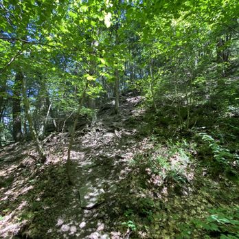 Plotter Kill Preserve - Hiking Near Me - Rotterdam, New York