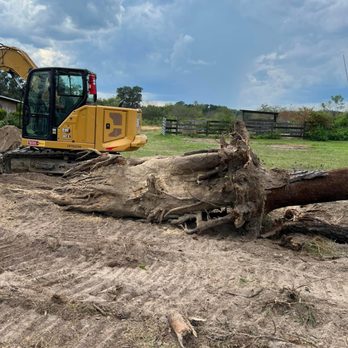 Land Development Solutions - Stump Removal - Excavation Services Near Me Land Development Solutions - Stump Removal - Excavation Services Near Me