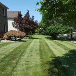 Windsor Elite Landscaping - It's finally the weekend! How are you going to spend it? Relaxing and spending time with the family or doing yard work?...