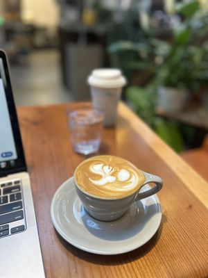 11th Hour Coffee by null
