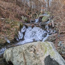 Turkey Run Park - Instagram: @telephonesmoothie