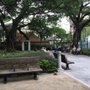漢花園