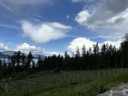 CedarCreek Estate Winery by null