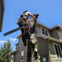 Photo of Wooten Tree Solutions
