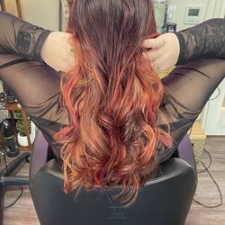 Hollywood Hair By Robin - Organic odorless color