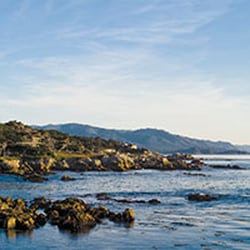 Monterey Program For Executive Health