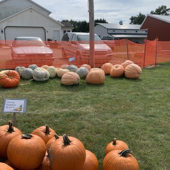 Thistleberry Farm - Big pumpkins - Parks Near Me - South Bend, Indiana Thistleberry Farm - Big pumpkins - Parks Near Me - South Bend, Indiana