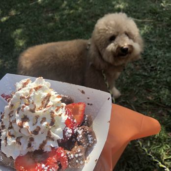 VolksWaffle - The best chocolate waffles I've ever had!!! - Desserts Near Me - Carmichael, California VolksWaffle - The best chocolate waffles I've ever had!!! - Desserts Near Me - Carmichael, California