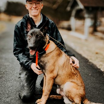 Skyline K9 - Pet Training Near Me Skyline K9 - Pet Training Near Me