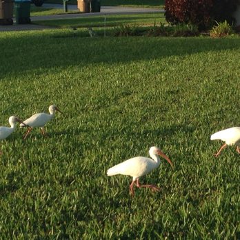 Wischis Florida Home - Vacation Rentals Near Me - Cape Coral, Florida Wischis Florida Home - Vacation Rentals Near Me - Cape Coral, Florida