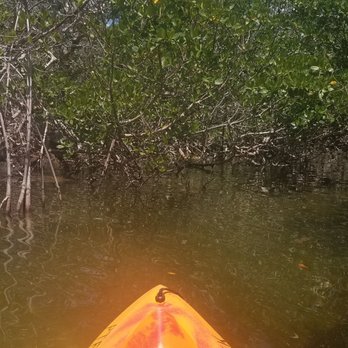 Paddle The Florida Keys - Mangroves in the keys - Rafting/Kayaking Near Me - Tavernier, Florida Paddle The Florida Keys - Mangroves in the keys - Rafting/Kayaking Near Me - Tavernier, Florida