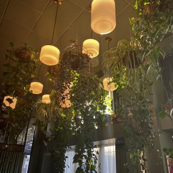 Water Bear Bar - Cocktail Bars Near Me - Boise, Idaho