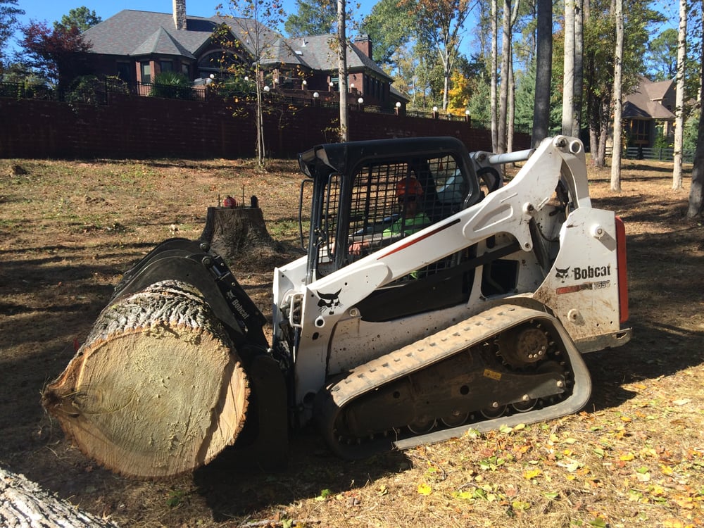 Zach's Grading & Tree Removal - tree service in Ball Ground, GA